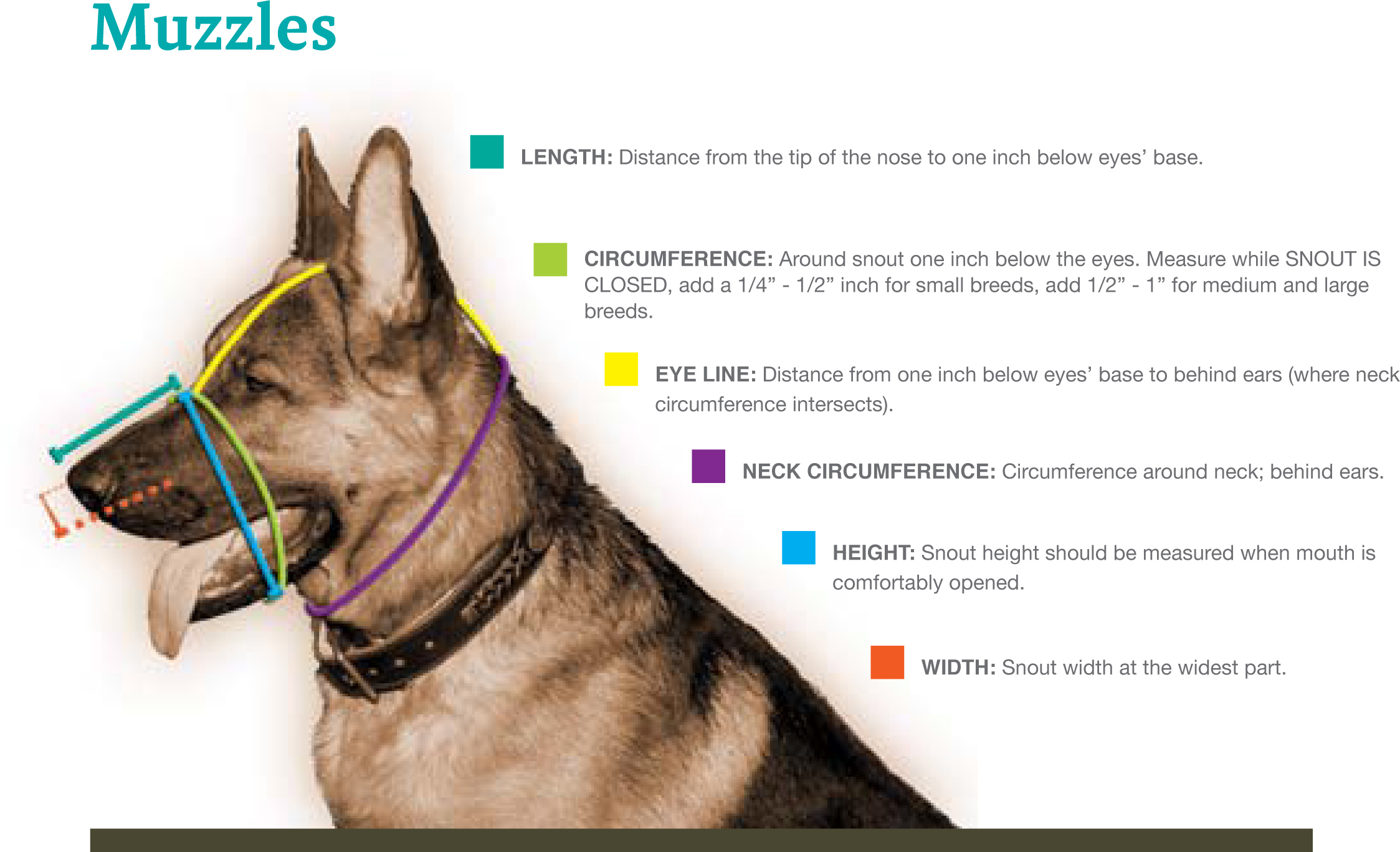 dog muzzle size chart