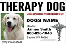 Custom ID Card / Badge for Working Dogs and Handler Therapy Dog #3 