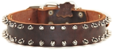 Spike Time | Spiked Dog Collar