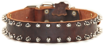 Spike Time | Spiked Dog Collar