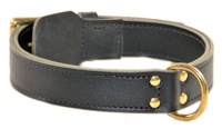 Simplicity - Leather Collar