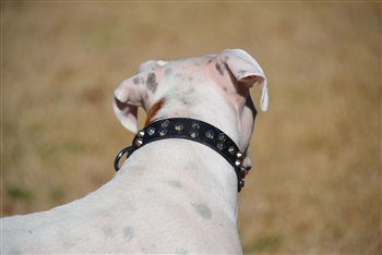  LV Pyramid Dot Straight Dog Collar, Medium Size 11-14