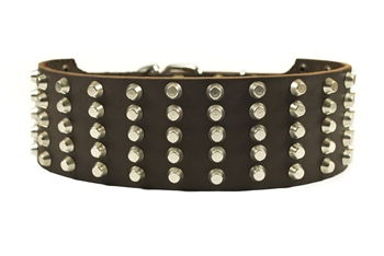 Wide Stud | Studded Dog Collar