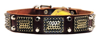 Thor | Spiked Dog Collar