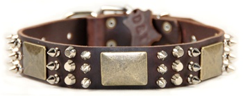 Crazy Combo | Spiked Dog Collar