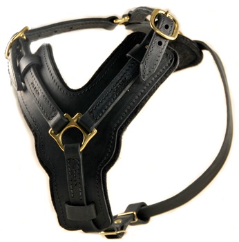 The Victory | Leather Dog Harness