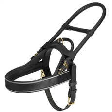 DT Guide | Leather Guide Dog Harness