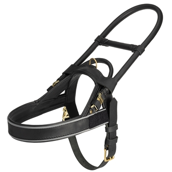 DT Guide | Leather Guide Dog Harness