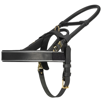 DT Guide Leather Guide Dog Harness Mobility Assistance Dog Harness Dean Tyler