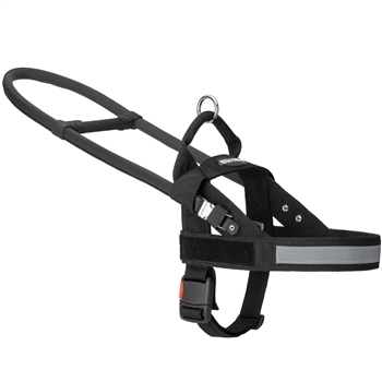 DT Guide Light | Guide Dog Harness