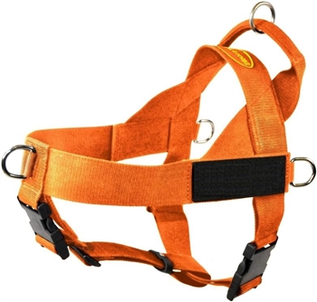 DT Universal | No Pull Dog Harness Orange