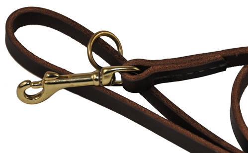 Dean & Tyler 1/2 Leather Hand Stitched Leash Quality  