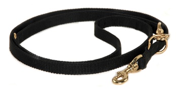 Nylon Night Leash