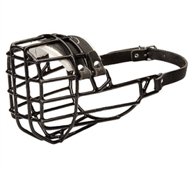DT Freedom All-Weather | Winter | Basket Muzzle