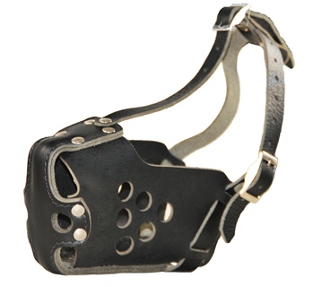 Classic K9 | Agitation Muzzle