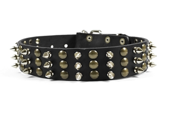 Tolerance | Spiked Dog Collar