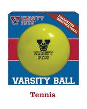 varsity ball for dogs