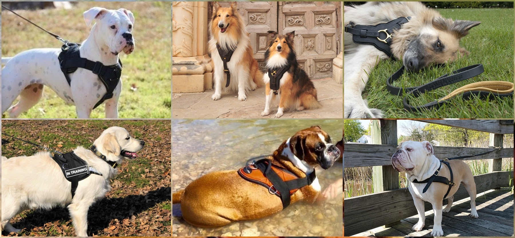 Dean & tyler dog harness best sale